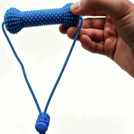 Dog teeth cleaning chew toy