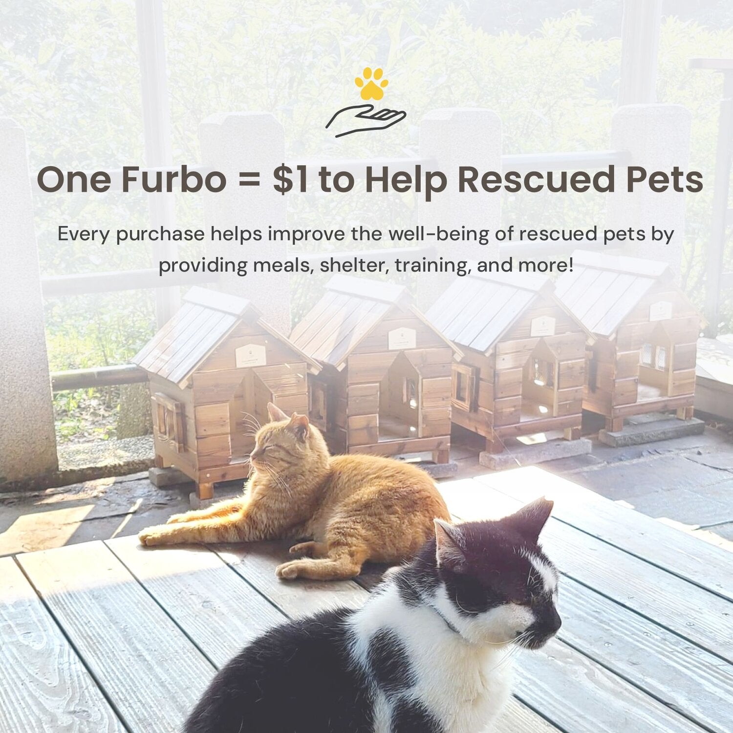 Furbo Pet Emergency Detection Notifications