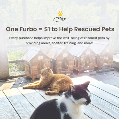 Furbo Pet Emergency Detection Notifications