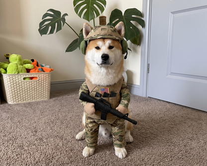 PupForce Military Costume Dog Outdoor Angle